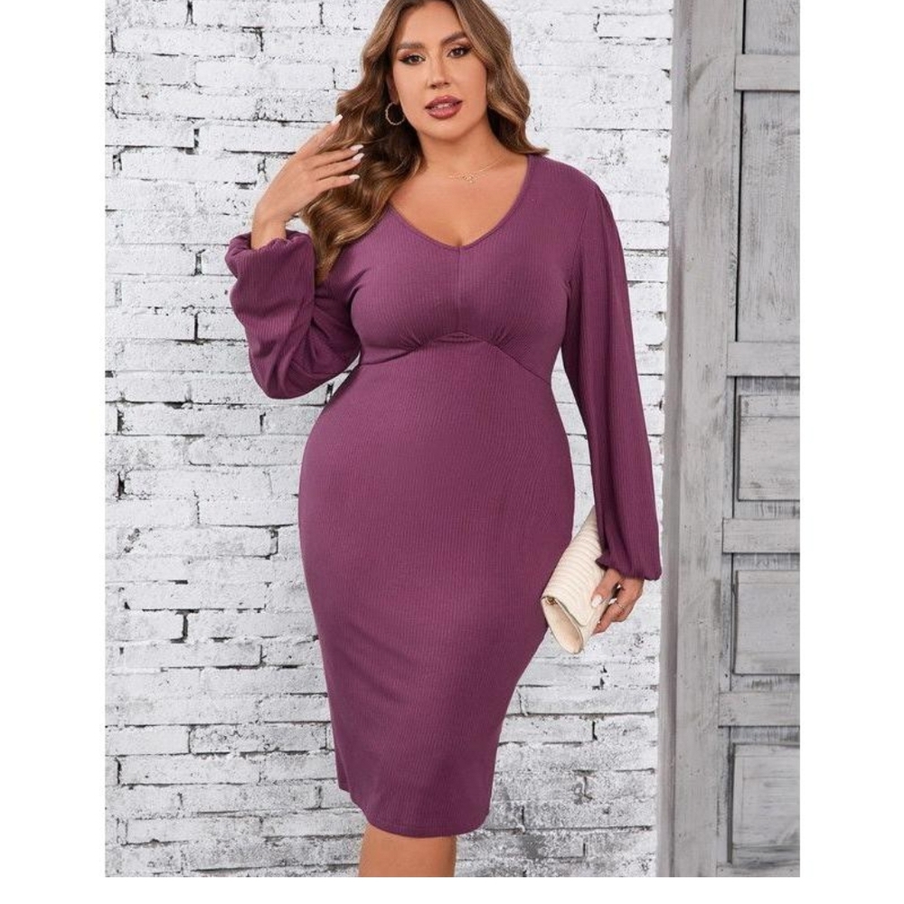 Elegant Long Sleeve Plum Dress